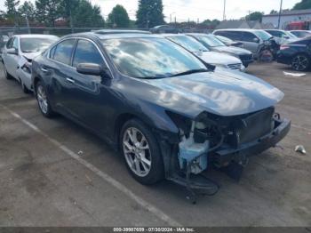  Salvage Nissan Maxima