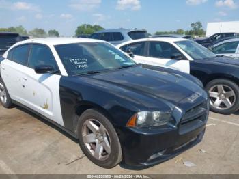  Salvage Dodge Charger