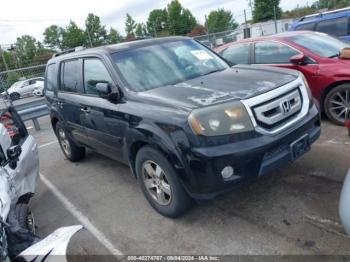  Salvage Honda Pilot