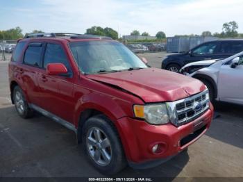  Salvage Ford Escape