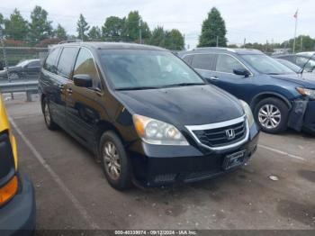  Salvage Honda Odyssey