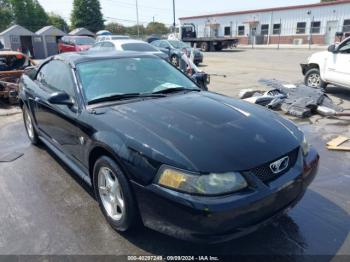  Salvage Ford Mustang