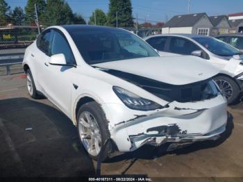  Salvage Tesla Model Y