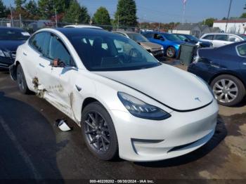  Salvage Tesla Model 3