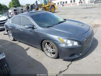  Salvage Nissan Maxima