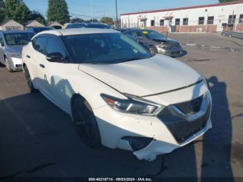  Salvage Nissan Maxima