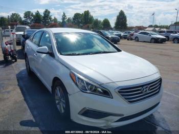  Salvage Hyundai SONATA