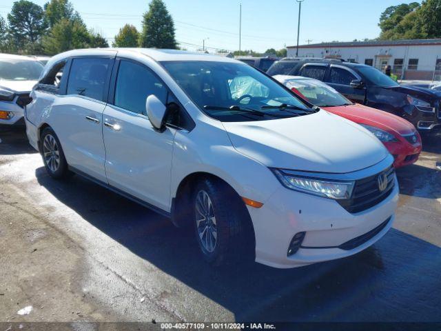  Salvage Honda Odyssey