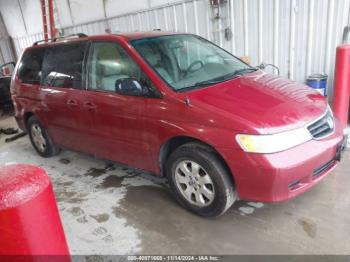  Salvage Honda Odyssey