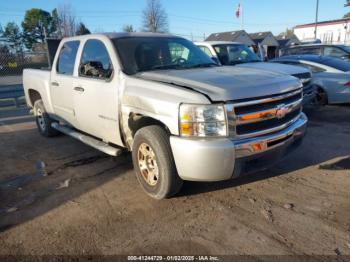  Salvage Chevrolet Silverado 1500