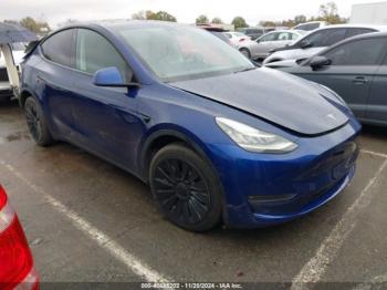  Salvage Tesla Model Y