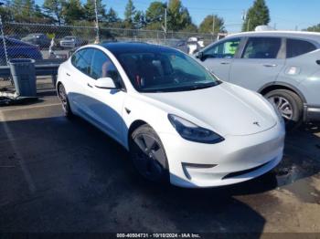  Salvage Tesla Model 3