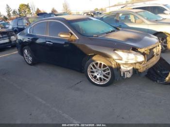  Salvage Nissan Maxima