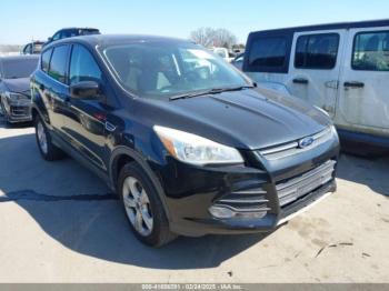  Salvage Ford Escape