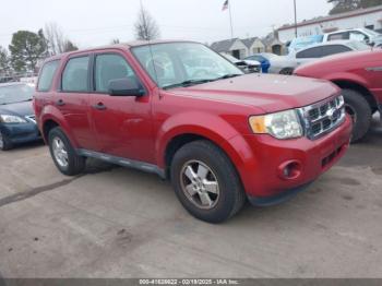  Salvage Ford Escape