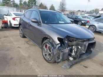  Salvage Alfa Romeo Stelvio