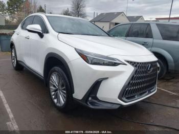  Salvage Lexus NX