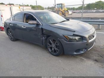  Salvage Nissan Maxima