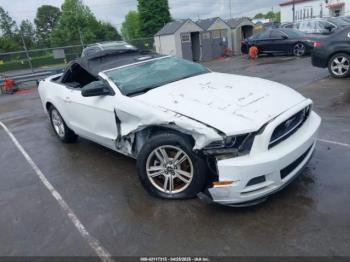  Salvage Ford Mustang