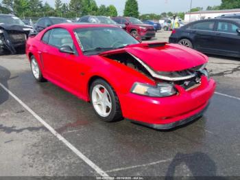  Salvage Ford Mustang