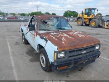  Salvage Chevrolet S Truck