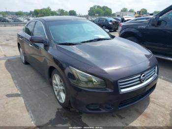  Salvage Nissan Maxima