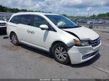  Salvage Honda Odyssey