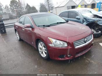  Salvage Nissan Maxima