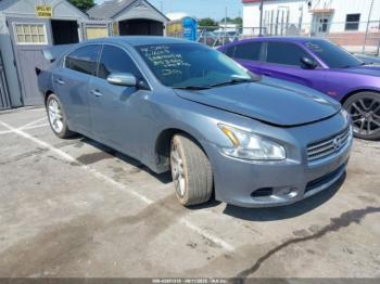  Salvage Nissan Maxima