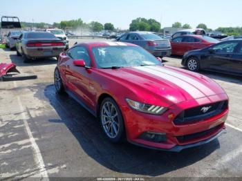  Salvage Ford Mustang