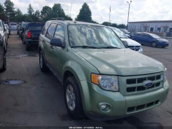  Salvage Ford Escape