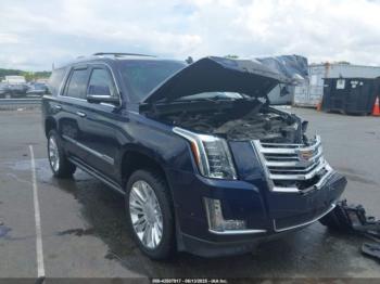  Salvage Cadillac Escalade