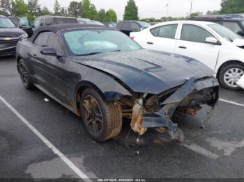  Salvage Ford Mustang