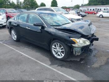  Salvage Nissan Maxima