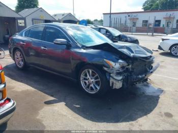  Salvage Nissan Maxima