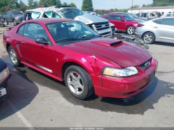  Salvage Ford Mustang