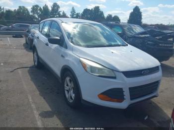  Salvage Ford Escape