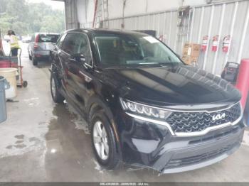  Salvage Kia Sorento