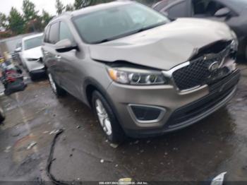  Salvage Kia Sorento