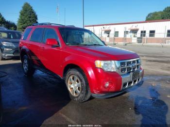  Salvage Ford Escape