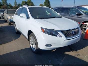  Salvage Lexus RX