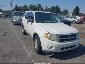  Salvage Ford Escape