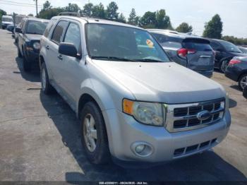  Salvage Ford Escape