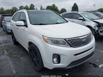  Salvage Kia Sorento