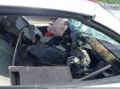 BMW 3 Series Image 4