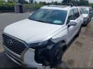 Hyundai PALISADE Calligraphy Image 15