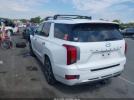 Hyundai PALISADE Calligraphy Image 3
