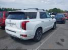 Hyundai PALISADE Calligraphy Image 2