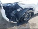 Hyundai PALISADE Calligraphy Image 5