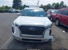 Hyundai PALISADE Calligraphy Image 9